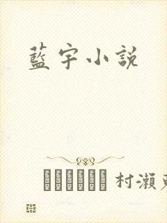 蓝宇小说