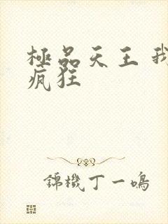 极品天王 我本疯狂