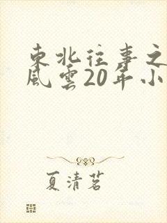 东北往事之黑道风云20年小说