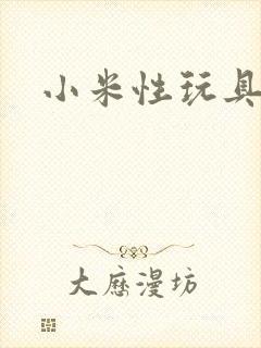 小米性玩具日记