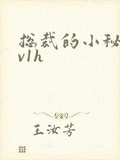 总裁的小秘书1v1h