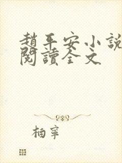 赵平安小说免费阅读全文