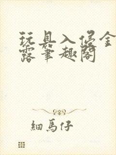 玩具入侵金银花露笔趣阁