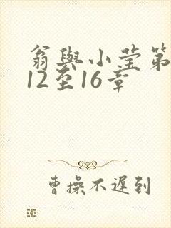 翁与小莹第十部12至16章