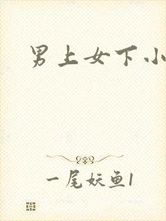 男上女下小说