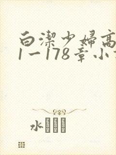 白洁少妇高义第1一178章小说