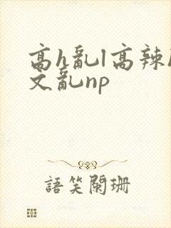 高h乱l高辣h文乱np