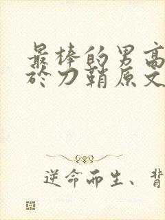 最棒的男高中生于刀鞘原文阅读