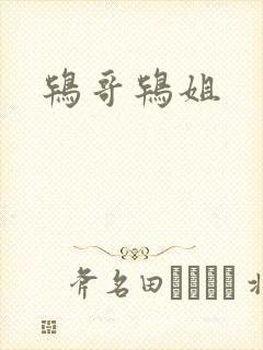 鸨哥鸨姐