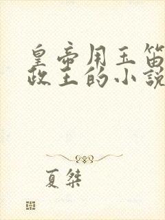 皇帝用玉笛整摄政王的小说