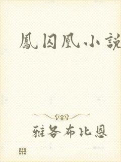凤囚凰小说