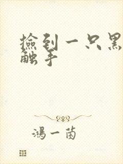 捡到一只黑心小触手