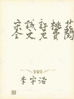 宋钱许桃花小说全文免费阅读