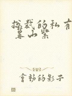 总裁的私有宝贝 暮山紫