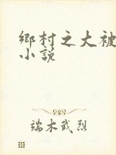 乡村之大被同眠小说