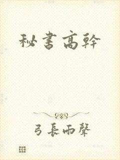 秘书高干