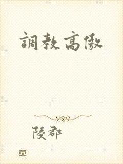 调教高傲
