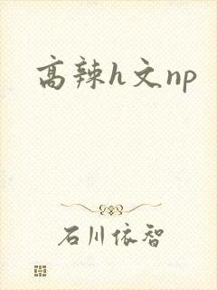 高辣h文np