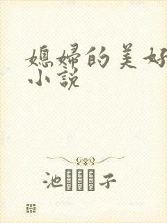 媳妇的美好时代小说