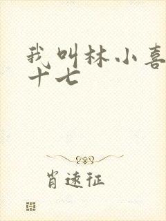 我叫林小喜今年十七