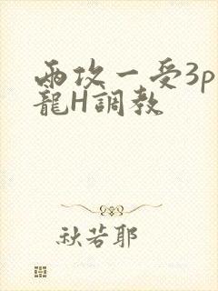 两攻一受3p双龙H调教