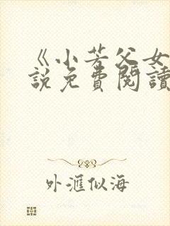 《小芳父女》小说免费阅读