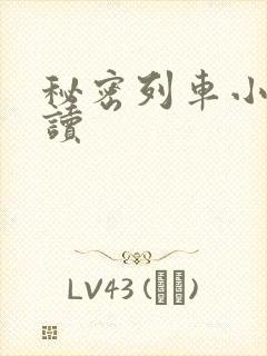 秘密列车小说阅读