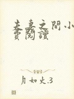 夫妻之间小说免费阅读