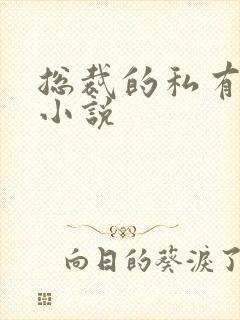 总裁的私有宝贝小说