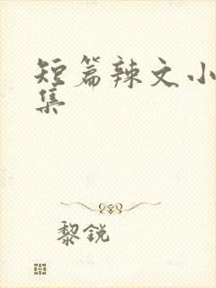 短篇辣文小说合集