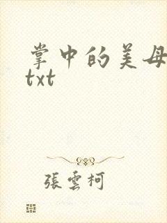掌中的美母版主txt