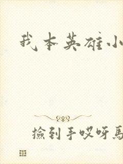 我本英雄小说