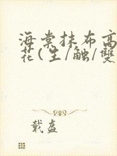 海棠抹布高岭之花(生/触/双)