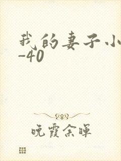 我的妻子小谨1-40