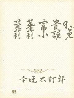 荣华富贵9小王莉莉小说免费阅读