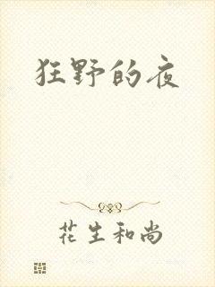 狂野的夜