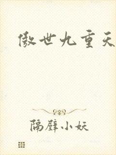 傲世九重天小说