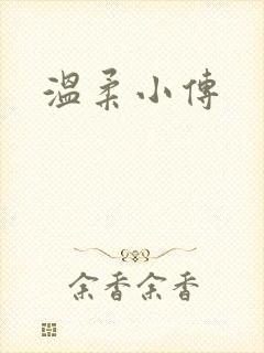 温柔小传