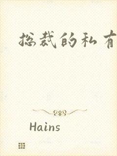 总裁的私有宝贝