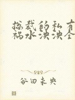 总裁的私有宝贝祸水泱泱全文阅读