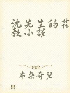 沈先生的花式调教小说