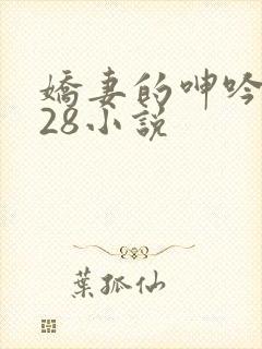 娇妻的呻吟1—28小说