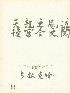 天龙之风流猎艳后宫全文阅读