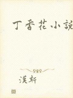 丁香花小说