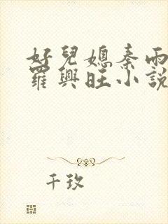 好儿媳秦雨罗明罗兴旺小说