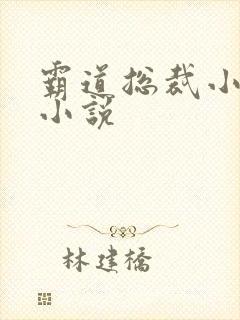 霸道总裁小娇妻小说