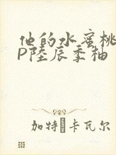 他的水蜜桃POP陆辰季柚