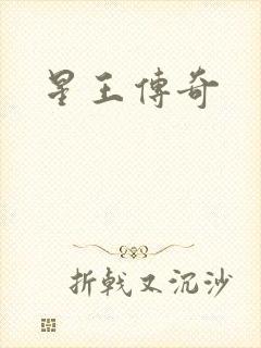 星王传奇