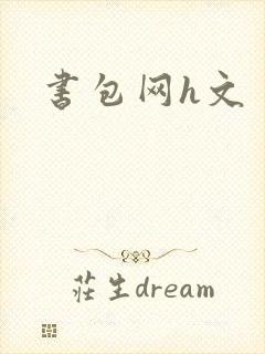 书包网h文