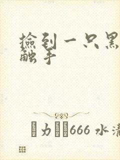 捡到一只黑心小触手